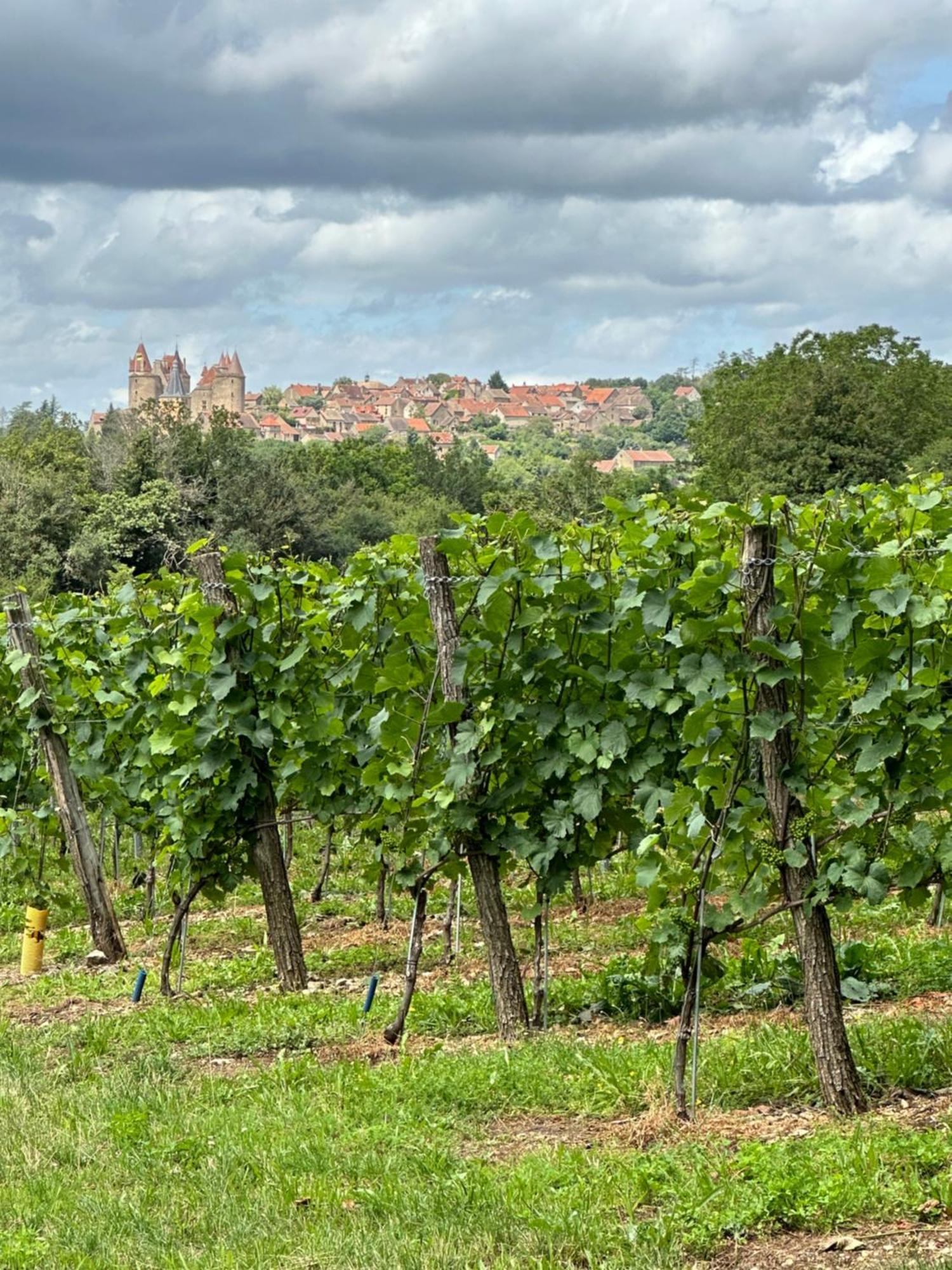 Chateauneuf Suites Exteriör bild