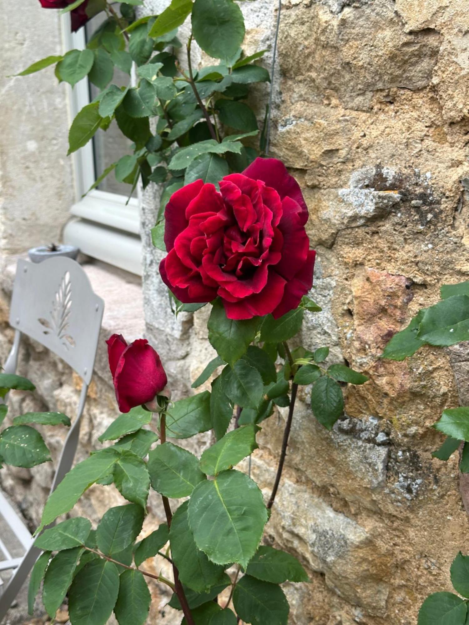 Chateauneuf Suites Exteriör bild